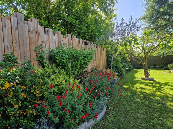 Création parcs et jardins Arnouville-lès-Mantes