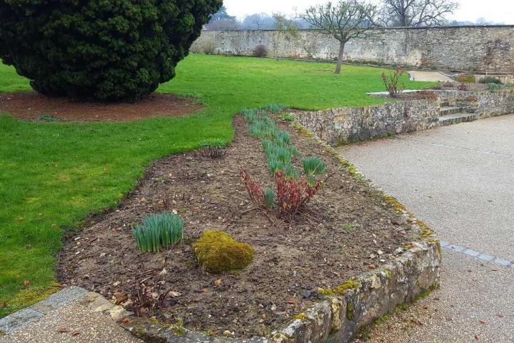 Aménagement paysagère Arnouville-lès-Mantes